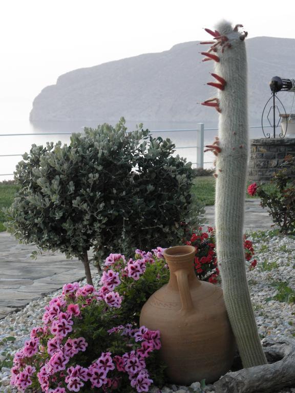 Villa Tholos Crete Kavousi  Экстерьер фото