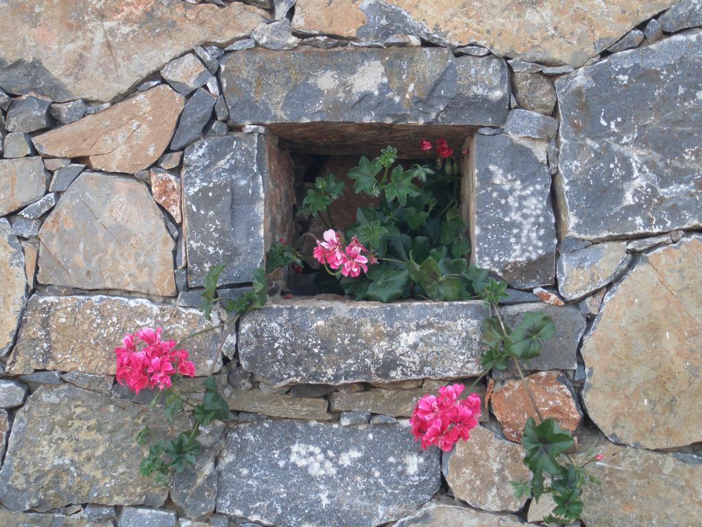 Villa Tholos Crete Kavousi  Экстерьер фото